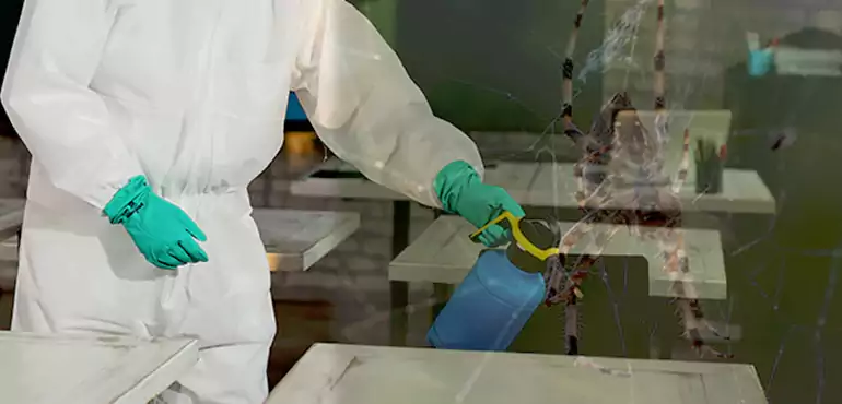 Why Buyers Still Want Homes With Pest Infestations in Pasadena, CA?